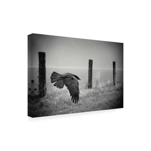 Holger Droste 'The Day Of The Raven' Canvas Art,22x32